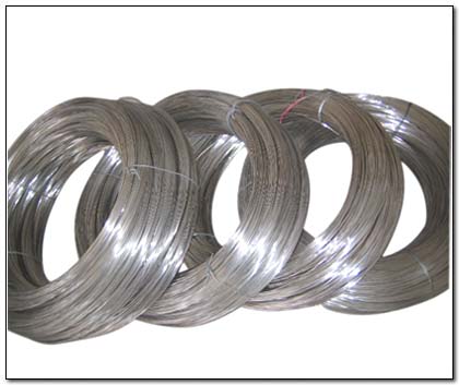 ���P䓚��˽z